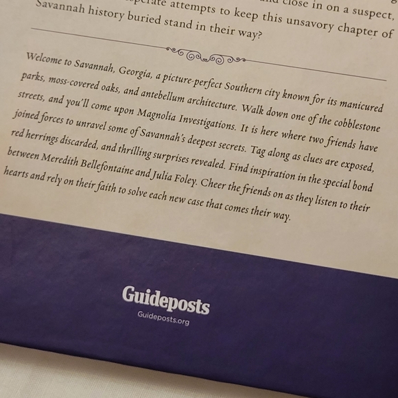 NEW Savannah Secrets - The Hidden Gate Hardcover Book - Picture 8 of 16